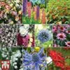 Everlasting Perennial Collection 1 Everlasting Perennial Collection -Perfect Greenery 10part