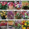 Garden Ready Bumper Collection -Perfect Greenery 12 coll