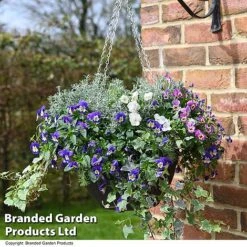 Splash Of Colour Collection -Perfect Greenery BASK PREPLBLU1 T49351