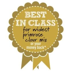 Primrose 'Alaska Improved Mixed' -Perfect Greenery BIC WIDESTPRIMROSEMIX B h