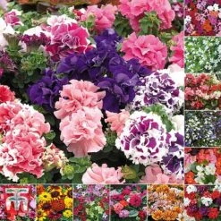 Bumper Garden Collection -Perfect Greenery BUMP KB3121 E3