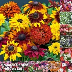 Perfect Greenery -Perfect Greenery BUMP GARDENCOLL2