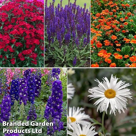 Perennial Collection 3 Perennial Collection