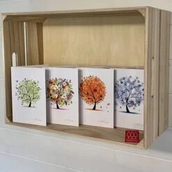 Silver Birch Tree (Betula Pendula) Grown By Cotswold Trees -Perfect Greenery IMG 1416202