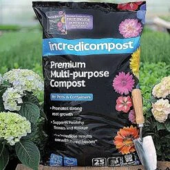 Agapanthus Midnight Cascade Collection 6 Agapanthus Midnight Cascade Collection -Perfect Greenery INCREDICROP 251