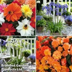 Summer Plant Collection -Perfect Greenery MSE feb3