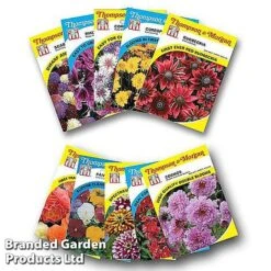Nurserymans Choice Bedding Mix + 100g Incredibloom® + Nurserymans Choice Flower Seeds -Perfect Greenery NURS BED COLL3