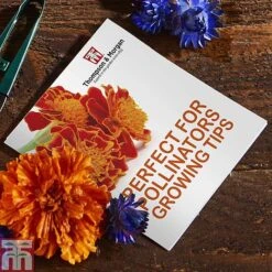 Pollinator Flowers Growing Kit -Perfect Greenery PERF TKA1544A C