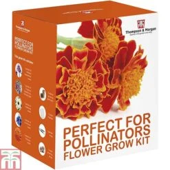 Pollinator Flowers Growing Kit -Perfect Greenery PERF TKA1544A D