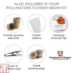Pollinator Flowers Growing Kit -Perfect Greenery POLL TKA1544 F
