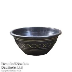 Waterlily Tricolour + Pond Basket + Black And Gold Bowl -Perfect Greenery POND PATIOPOT T17998
