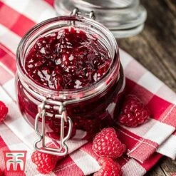 Raspberry 'Little Sweet Sister' -Perfect Greenery RASP RECIPE CUL