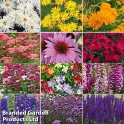 Perennial Eternal Flowering Collection