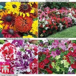 Bumper Garden Collection -Perfect Greenery z BUMP KB3121 O1