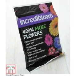 Clematis 'New Love' -Perfect Greenery z INCR T47963 E h3