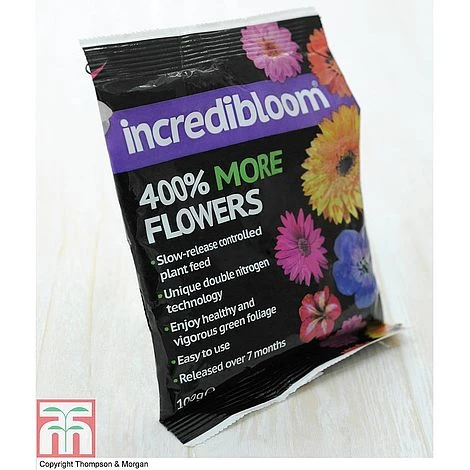 Acer Bold Duo 6 Acer Bold Duo - Image 4