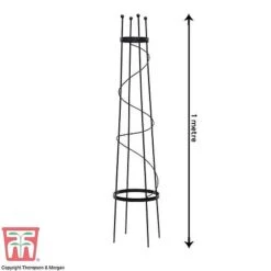 Clematis Duo Collection 9 Clematis Duo Collection -Perfect Greenery z OBEL KB0599 A201